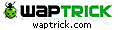 Waptrick orta